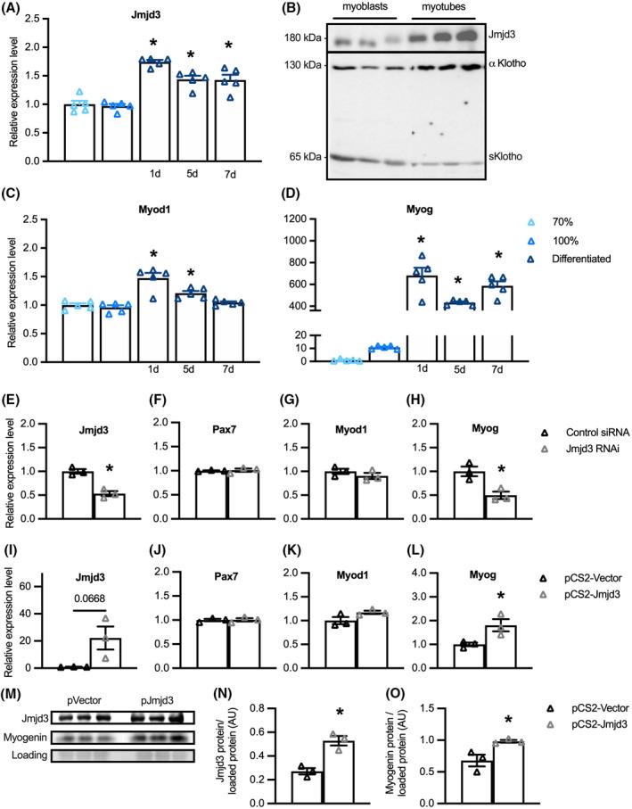 https://cdn.ncbi.nlm.nih.gov/pmc/blobs/0811/9307010/951d839a1f74/FSB2-36-0-g008.jpg
