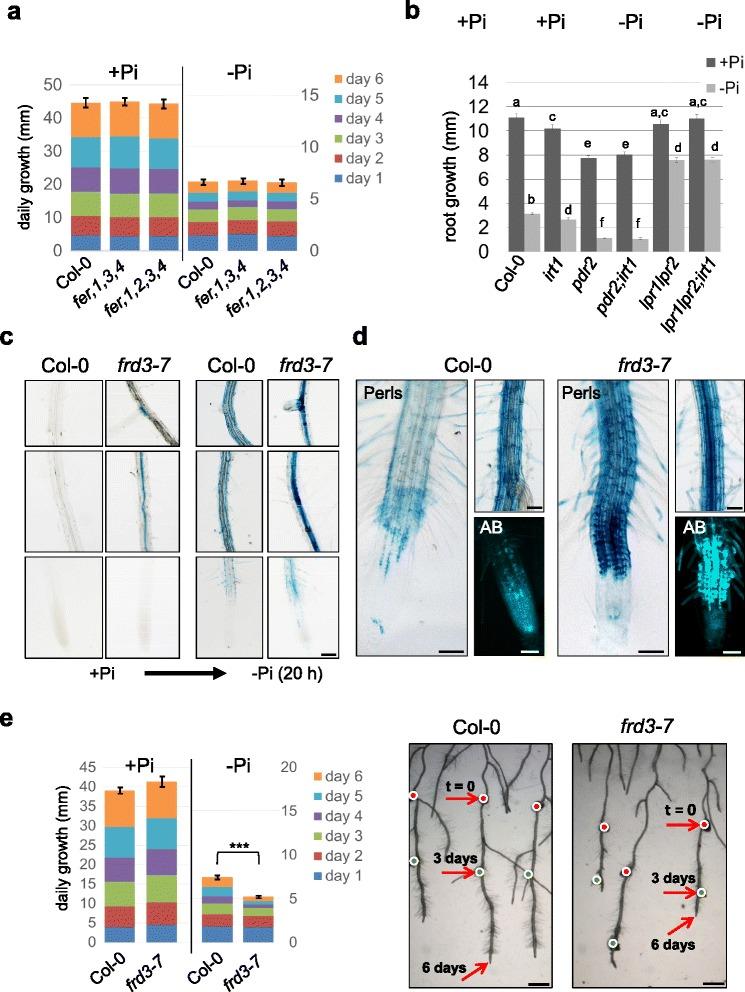 https://cdn.ncbi.nlm.nih.gov/pmc/blobs/0814/4849097/aa1d671da0e0/12870_2016_790_Fig4_HTML.jpg