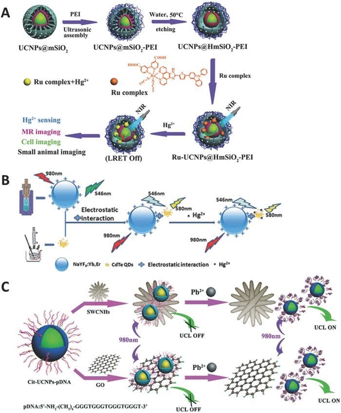 https://cdn.ncbi.nlm.nih.gov/pmc/blobs/0816/5867034/443cd7ac0830/ADVS-5-1700609-g004.jpg