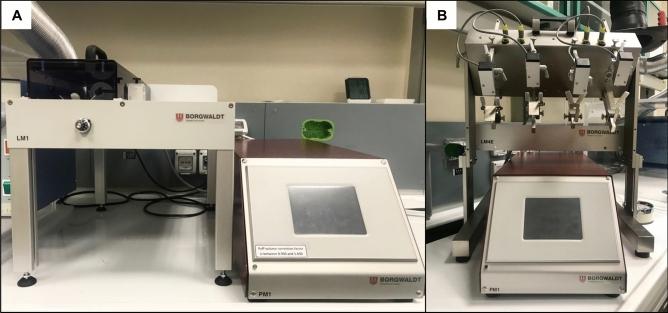 https://cdn.ncbi.nlm.nih.gov/pmc/blobs/0816/8683499/a99b6e18fd10/41598_2021_3310_Fig12_HTML.jpg