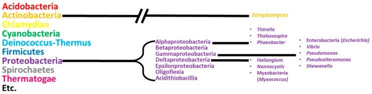 https://cdn.ncbi.nlm.nih.gov/pmc/blobs/0817/5577590/76d24dae40c9/marinedrugs-15-00235-g001.jpg
