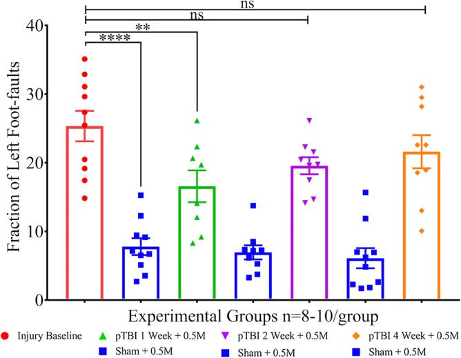 https://cdn.ncbi.nlm.nih.gov/pmc/blobs/081a/10122235/b85368a1467e/neur.2022.0087_figure4.jpg