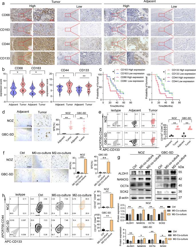 https://cdn.ncbi.nlm.nih.gov/pmc/blobs/081a/11320879/22d30278fda2/40164_2024_550_Fig1_HTML.jpg