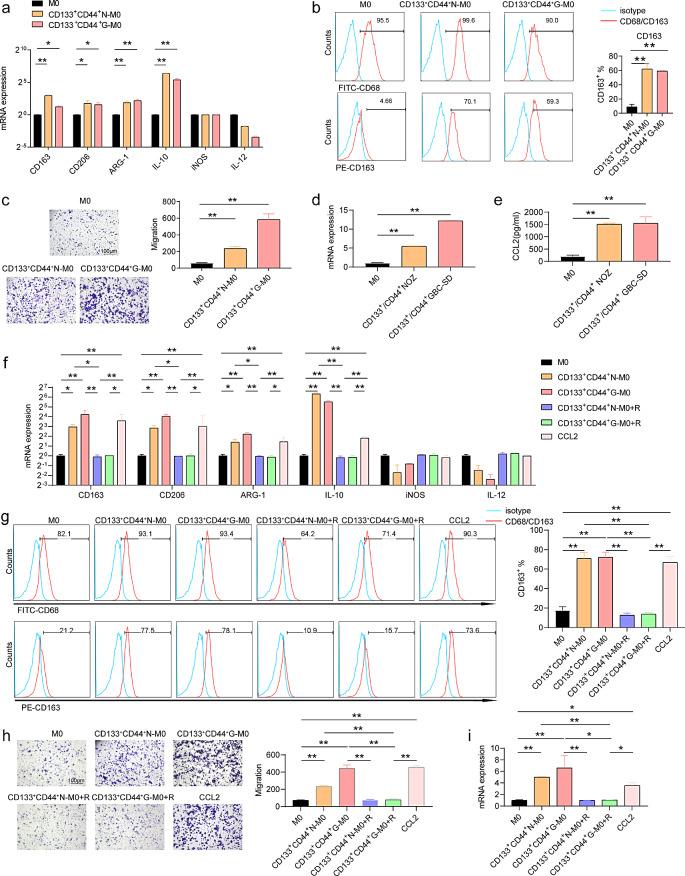 https://cdn.ncbi.nlm.nih.gov/pmc/blobs/081a/11320879/285eb85523de/40164_2024_550_Fig7_HTML.jpg