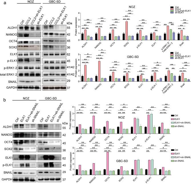 https://cdn.ncbi.nlm.nih.gov/pmc/blobs/081a/11320879/5a0fb373b7ca/40164_2024_550_Fig6_HTML.jpg