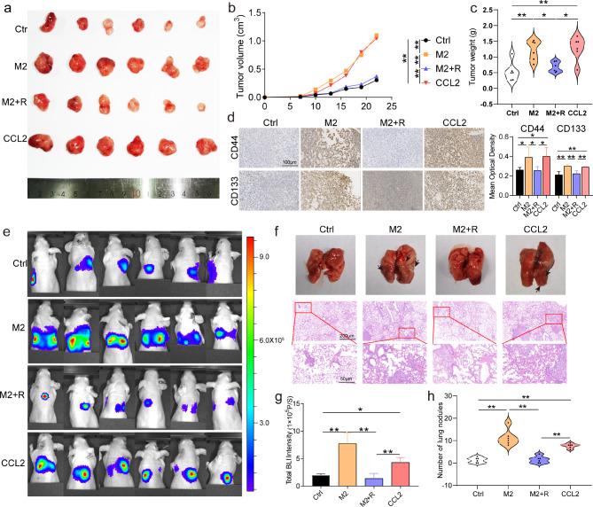 https://cdn.ncbi.nlm.nih.gov/pmc/blobs/081a/11320879/6dbe2ebbc7c5/40164_2024_550_Fig3_HTML.jpg