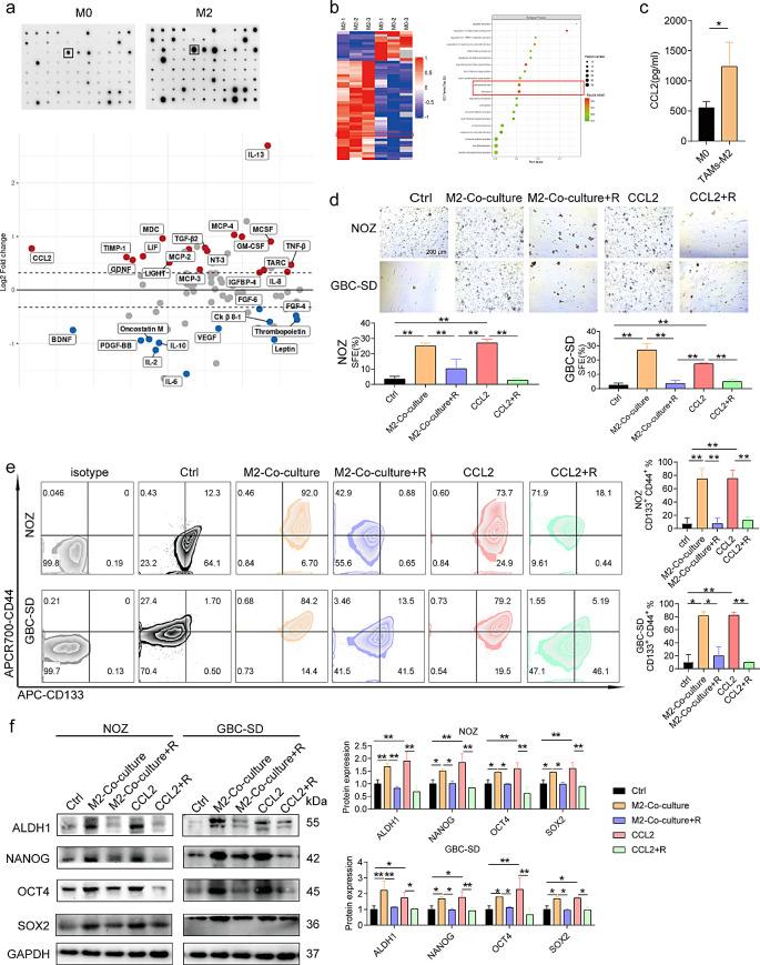 https://cdn.ncbi.nlm.nih.gov/pmc/blobs/081a/11320879/c9307cb3d426/40164_2024_550_Fig2_HTML.jpg