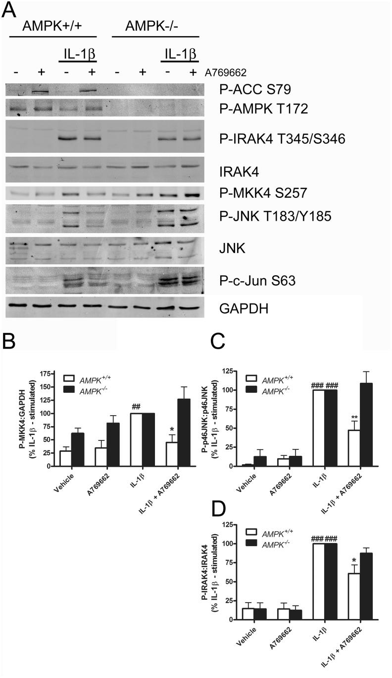 https://cdn.ncbi.nlm.nih.gov/pmc/blobs/081a/5228585/11b3d1dae0d4/gr5.jpg