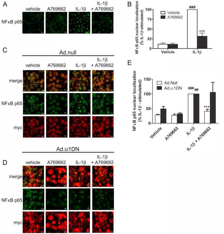 https://cdn.ncbi.nlm.nih.gov/pmc/blobs/081a/5228585/3055a9b12e8f/gr3.jpg