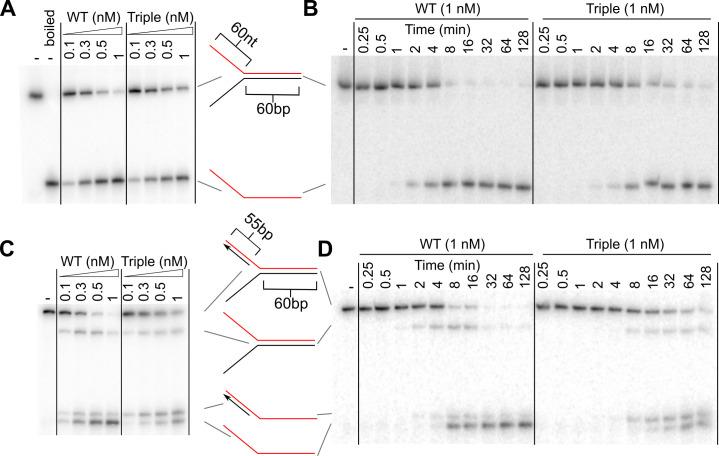 https://cdn.ncbi.nlm.nih.gov/pmc/blobs/081a/8323898/7a9d493e170b/pone.0255409.g004.jpg