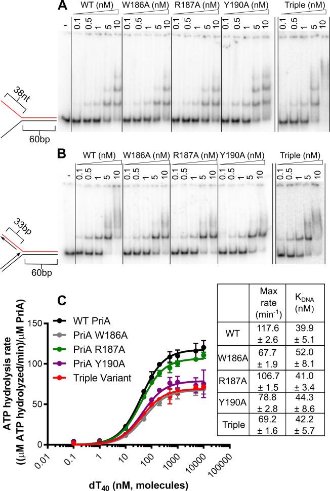 https://cdn.ncbi.nlm.nih.gov/pmc/blobs/081a/8323898/7d88709f4981/pone.0255409.g002.jpg