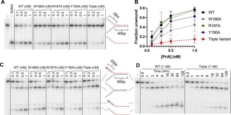 https://cdn.ncbi.nlm.nih.gov/pmc/blobs/081a/8323898/a9f98069307d/pone.0255409.g003.jpg
