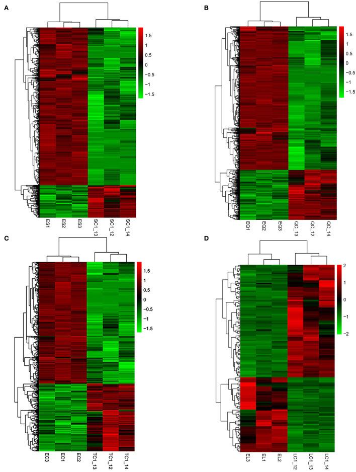 https://cdn.ncbi.nlm.nih.gov/pmc/blobs/081b/9729709/fee45ebd2418/fvets-09-1068882-g0003.jpg