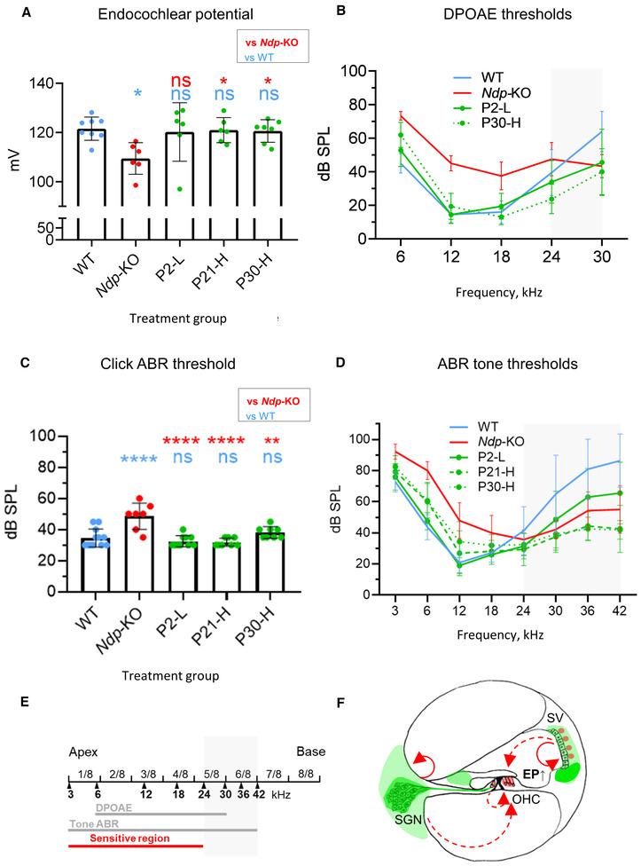 https://cdn.ncbi.nlm.nih.gov/pmc/blobs/081c/10565640/25308cd2ac5a/EMMM-15-e17393-g004.jpg