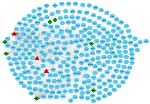 https://cdn.ncbi.nlm.nih.gov/pmc/blobs/081c/7696689/8b8e48deca29/genes-11-01327-g002.jpg