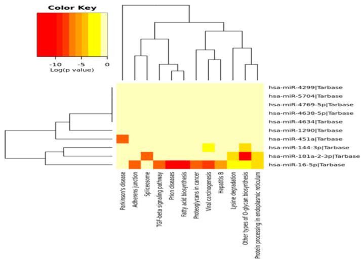 https://cdn.ncbi.nlm.nih.gov/pmc/blobs/081c/7696689/9b19abe775be/genes-11-01327-g005.jpg
