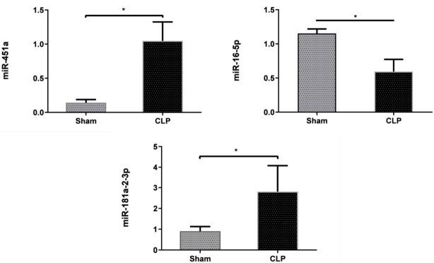 https://cdn.ncbi.nlm.nih.gov/pmc/blobs/081c/7696689/c8225d067eaf/genes-11-01327-g007.jpg