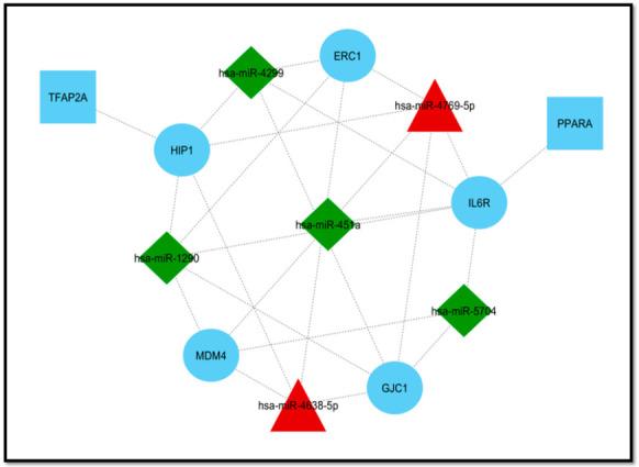 https://cdn.ncbi.nlm.nih.gov/pmc/blobs/081c/7696689/d98ee9aa9bf8/genes-11-01327-g006.jpg