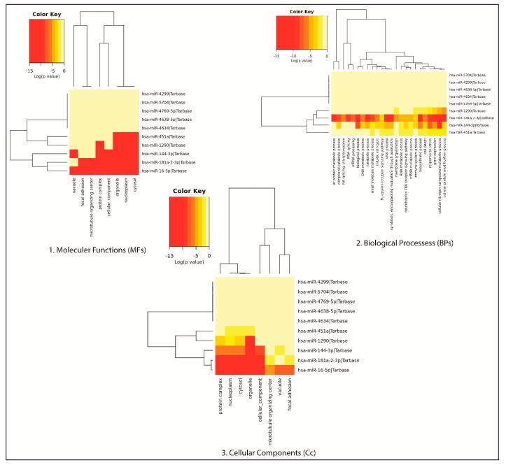 https://cdn.ncbi.nlm.nih.gov/pmc/blobs/081c/7696689/fa370a46b7b4/genes-11-01327-g004.jpg