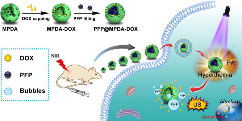 https://cdn.ncbi.nlm.nih.gov/pmc/blobs/081c/8613963/4558c895c1dd/12951_2021_1131_Fig7_HTML.jpg