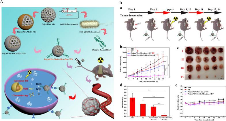https://cdn.ncbi.nlm.nih.gov/pmc/blobs/081c/8613963/e9cec969b5e1/12951_2021_1131_Fig3_HTML.jpg
