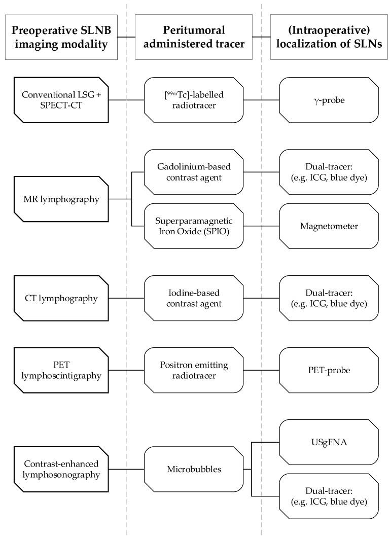https://cdn.ncbi.nlm.nih.gov/pmc/blobs/081d/7589685/d3cb84c8d0af/cancers-12-03055-g002.jpg