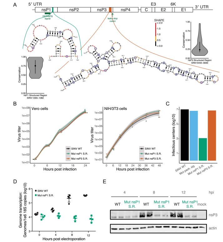 https://cdn.ncbi.nlm.nih.gov/pmc/blobs/081e/6283419/669025bfbef8/gky012fig3.jpg