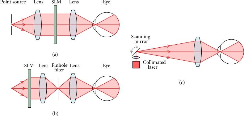 https://cdn.ncbi.nlm.nih.gov/pmc/blobs/081e/7006945/45cfd74f6f10/RESEARCH2019-9273723.002.jpg