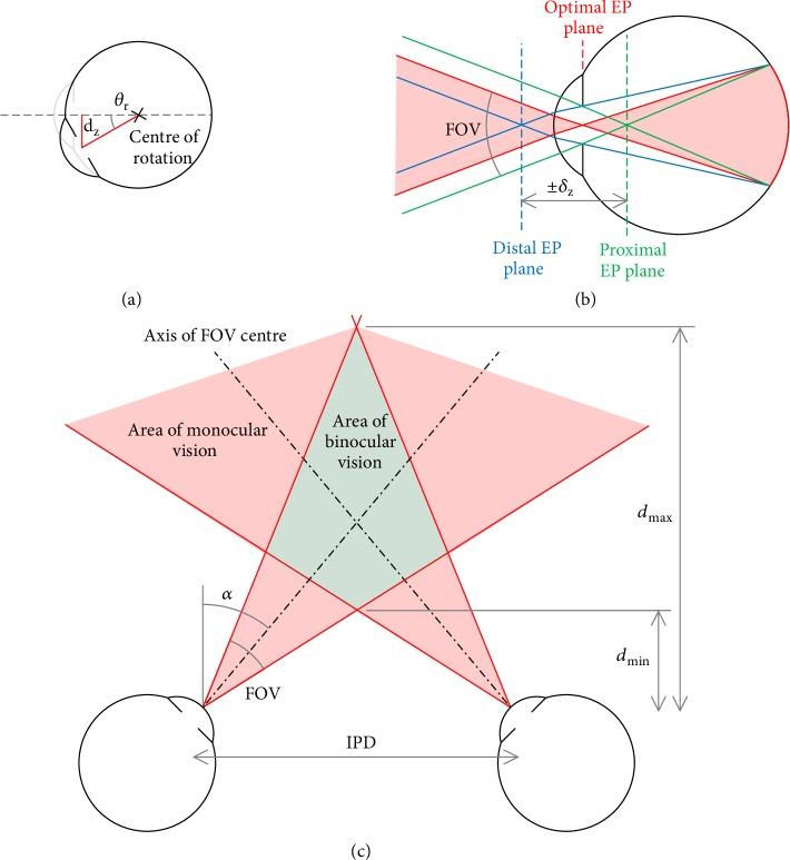 https://cdn.ncbi.nlm.nih.gov/pmc/blobs/081e/7006945/a08cf634c758/RESEARCH2019-9273723.003.jpg