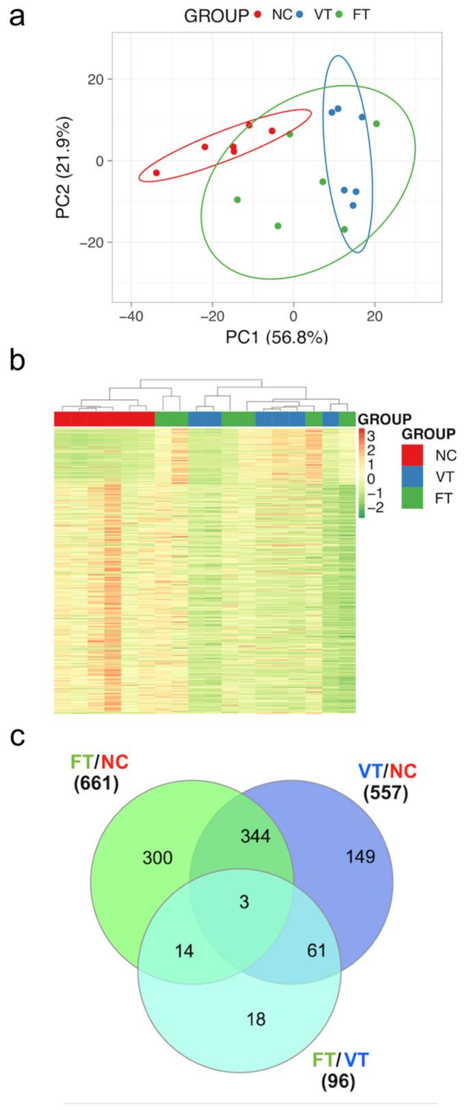 https://cdn.ncbi.nlm.nih.gov/pmc/blobs/081f/7696440/23eb97daa89a/ijms-21-08642-g005.jpg