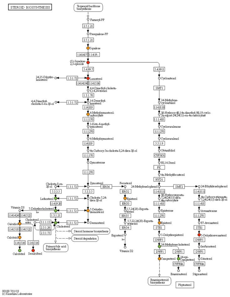 https://cdn.ncbi.nlm.nih.gov/pmc/blobs/081f/7696440/75844f3a61d4/ijms-21-08642-g006.jpg