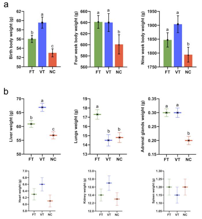 https://cdn.ncbi.nlm.nih.gov/pmc/blobs/081f/7696440/e58f07351412/ijms-21-08642-g002.jpg