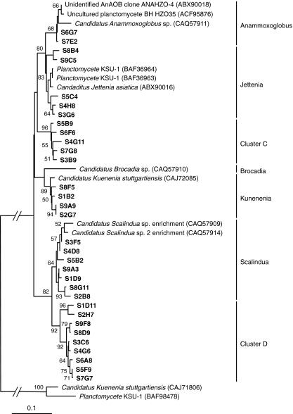 https://cdn.ncbi.nlm.nih.gov/pmc/blobs/0821/2974184/0589aca2fc53/248_2010_9733_Fig3_HTML.jpg