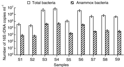https://cdn.ncbi.nlm.nih.gov/pmc/blobs/0821/2974184/e4fd08474cff/248_2010_9733_Fig4_HTML.jpg
