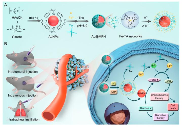https://cdn.ncbi.nlm.nih.gov/pmc/blobs/0823/10223096/25962caca1a0/pharmaceutics-15-01323-g009.jpg