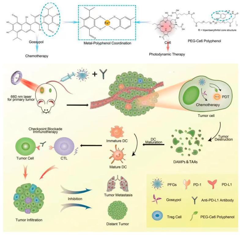 https://cdn.ncbi.nlm.nih.gov/pmc/blobs/0823/10223096/26d290f36ddf/pharmaceutics-15-01323-g019.jpg