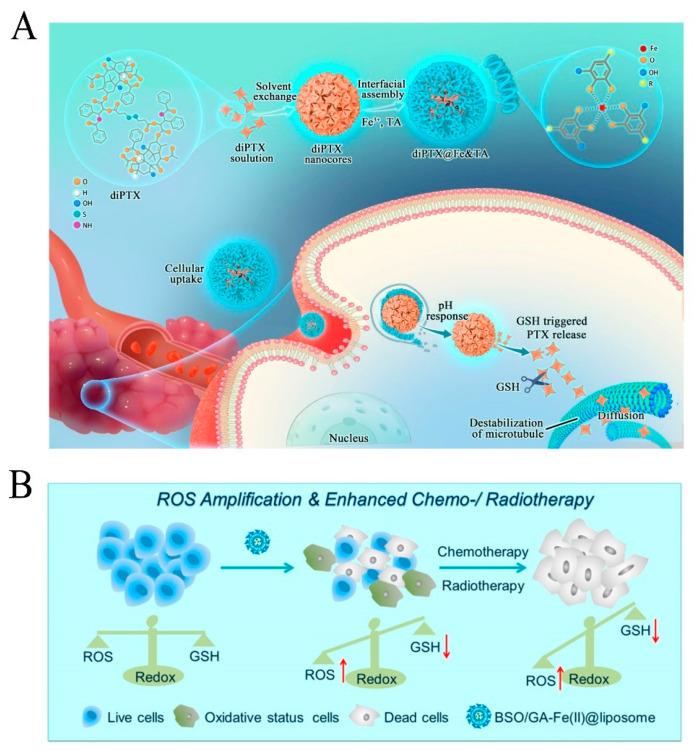 https://cdn.ncbi.nlm.nih.gov/pmc/blobs/0823/10223096/2b40f4412bf5/pharmaceutics-15-01323-g020.jpg