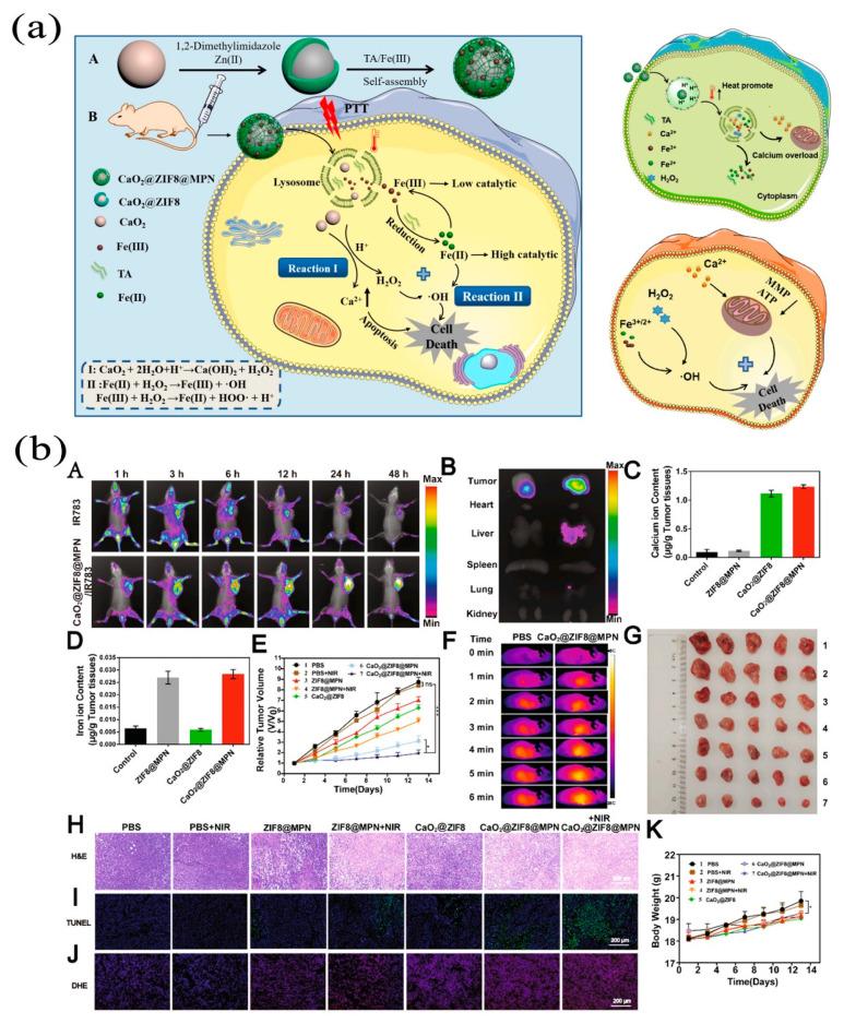 https://cdn.ncbi.nlm.nih.gov/pmc/blobs/0823/10223096/2e128b4839f5/pharmaceutics-15-01323-g008.jpg