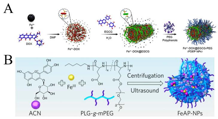 https://cdn.ncbi.nlm.nih.gov/pmc/blobs/0823/10223096/4d06614abdd5/pharmaceutics-15-01323-g004.jpg