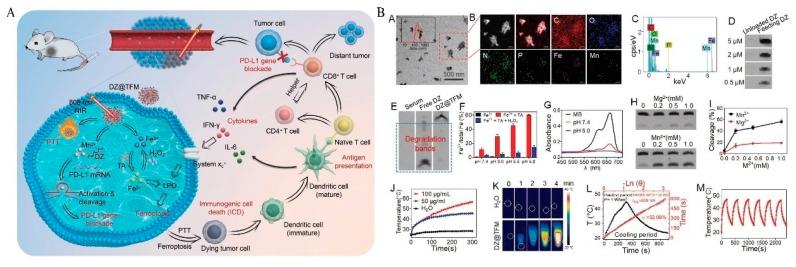 https://cdn.ncbi.nlm.nih.gov/pmc/blobs/0823/10223096/579cca1dab02/pharmaceutics-15-01323-g015.jpg