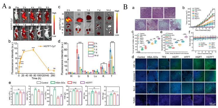 https://cdn.ncbi.nlm.nih.gov/pmc/blobs/0823/10223096/92bf67a54bd0/pharmaceutics-15-01323-g012.jpg