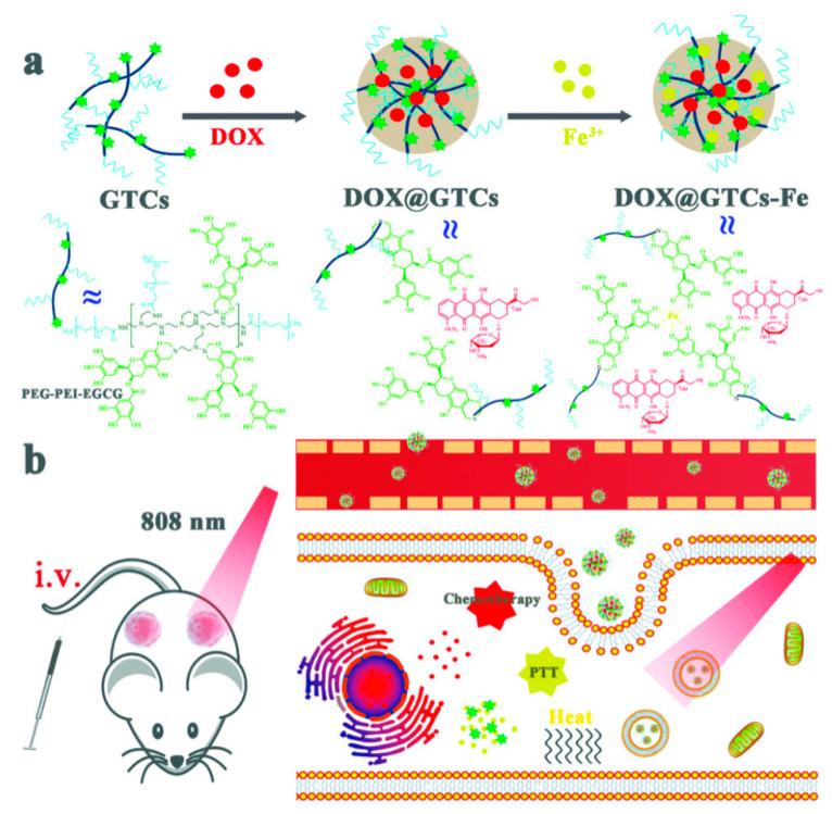 https://cdn.ncbi.nlm.nih.gov/pmc/blobs/0823/10223096/cd1a0660a6b8/pharmaceutics-15-01323-g017.jpg