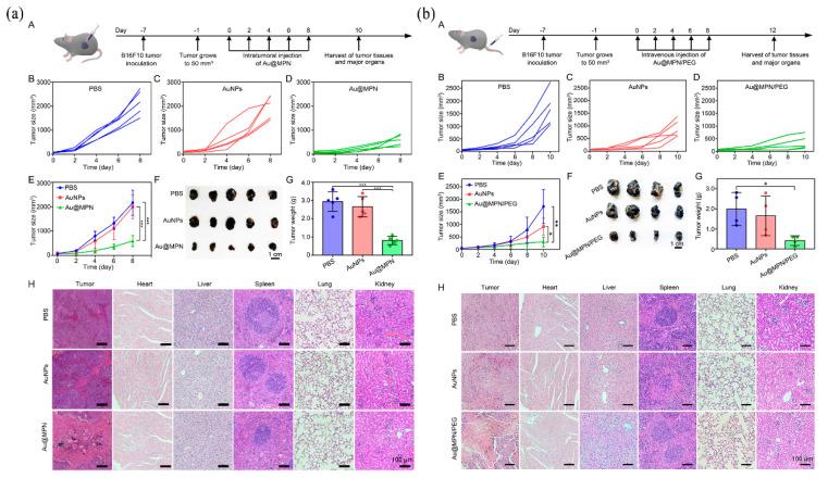 https://cdn.ncbi.nlm.nih.gov/pmc/blobs/0823/10223096/eb7b57e7b0be/pharmaceutics-15-01323-g010.jpg