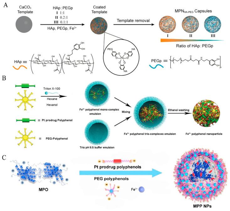https://cdn.ncbi.nlm.nih.gov/pmc/blobs/0823/10223096/f15b90f12739/pharmaceutics-15-01323-g005.jpg