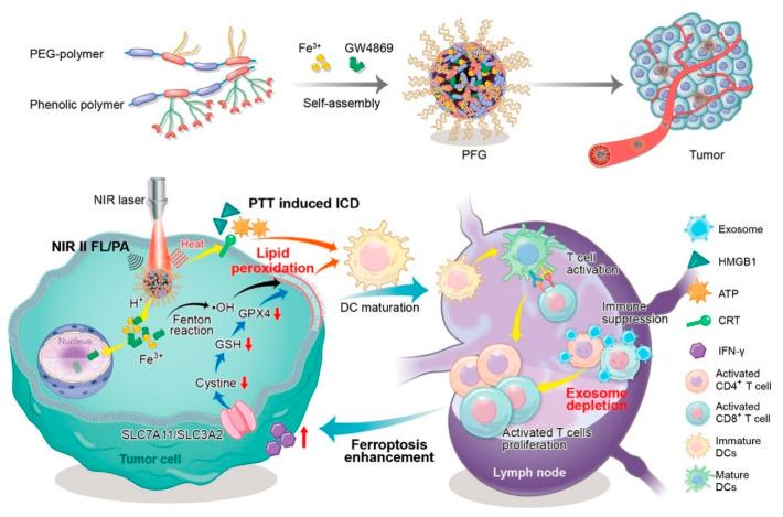 https://cdn.ncbi.nlm.nih.gov/pmc/blobs/0823/10223096/f23ab68978b9/pharmaceutics-15-01323-g018.jpg