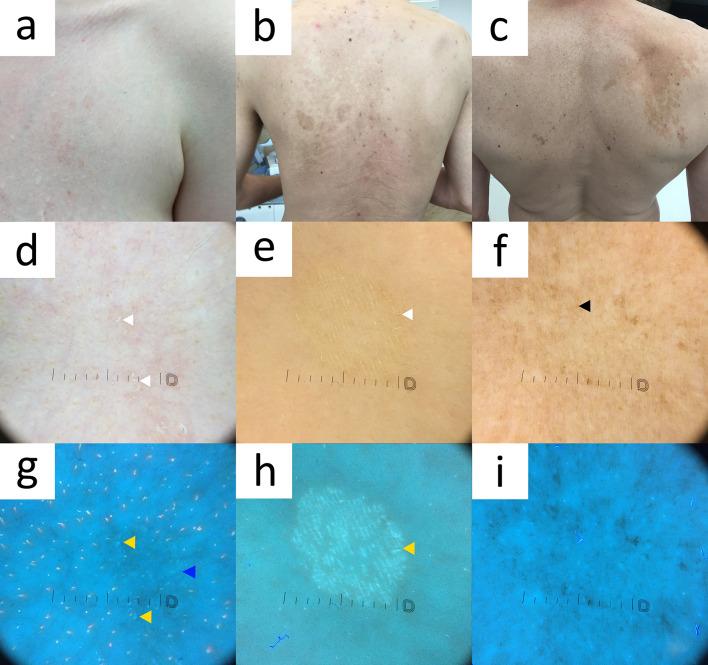https://cdn.ncbi.nlm.nih.gov/pmc/blobs/0823/10890990/487143541fab/13555_2024_1104_Fig10_HTML.jpg