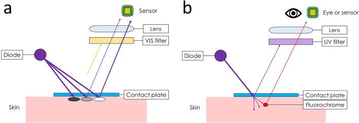 https://cdn.ncbi.nlm.nih.gov/pmc/blobs/0823/10890990/cb21addc47d8/13555_2024_1104_Fig3_HTML.jpg