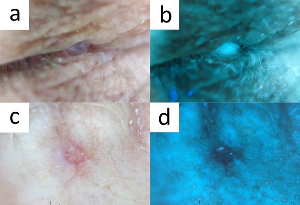https://cdn.ncbi.nlm.nih.gov/pmc/blobs/0823/10890990/e7080e3d55ab/13555_2024_1104_Fig9_HTML.jpg