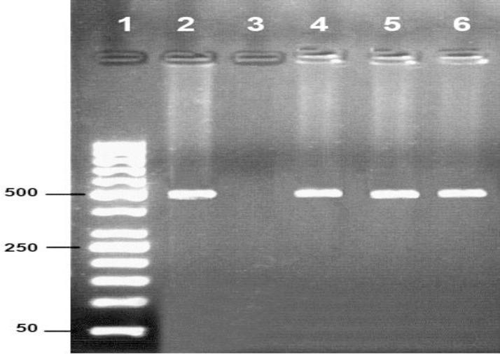 https://cdn.ncbi.nlm.nih.gov/pmc/blobs/0824/4293896/2b74ffa0c14c/vrf-4-043-g001.jpg