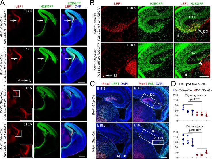 https://cdn.ncbi.nlm.nih.gov/pmc/blobs/0828/7577738/81040a890324/elife-62766-fig2.jpg